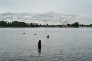 Columbia River, Kelly Point